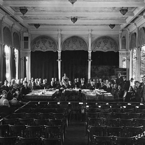 Formation de la Société des nations (politique)