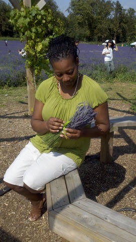 Mayfield Lavender Farm