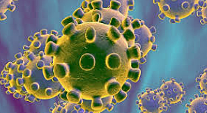 KORONABIRUSA EUSKADIN SARTU