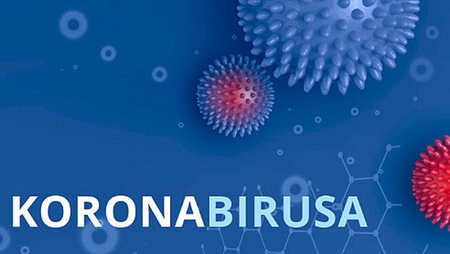 Koronabirusa Euskadin sartu