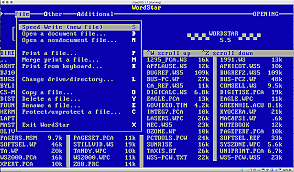Wordstar(1978)