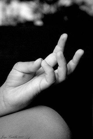 el hombre empieza a contar