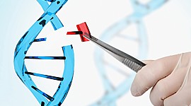 Timeline: Genetic engineering