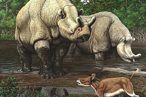 Aparición de los mamíferos