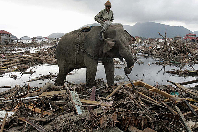 Océano Índico Tsunami 2004