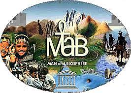 Creación del programa MBA