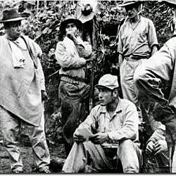 CREACION DE LAS FARC