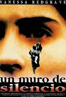 Un muro de silencio (Lita Stantic)