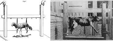 Primer Laboratorio de Psicología Experimental