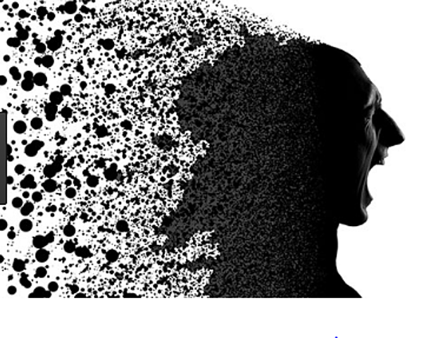 DSM: Aparición DSM II