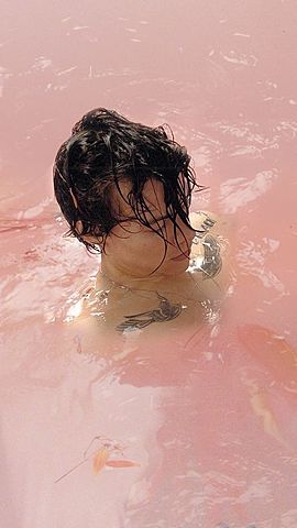 Harry lanza su primer álbum solista, Album Hs1