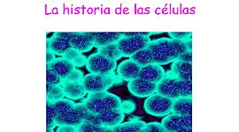 Timeline: La historia de la célula