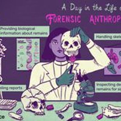 Timeline: Historia de  la Química forense