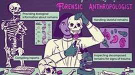 Timeline: Historia de  la Química forense