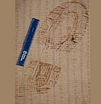 Servicio Británico de ciencias forenses