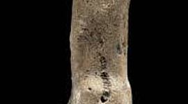 Timeline: Historia-2-A