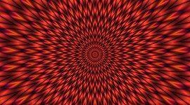 Timeline: evolució de la població treball fet per Jiddu y Moha