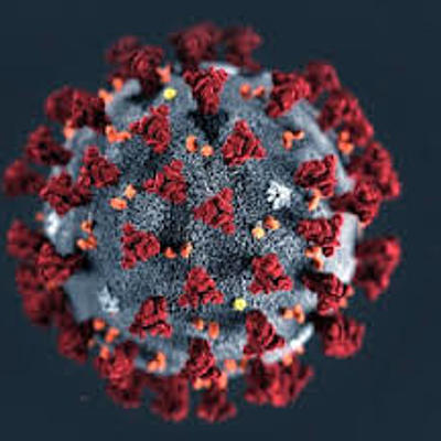 Timeline: TIMELINE DO COVID-19