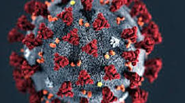 Timeline: TIMELINE DO COVID-19