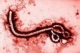 Ebola