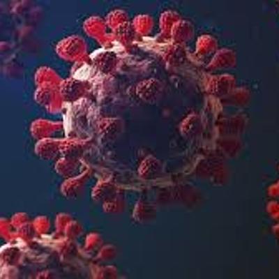 Timeline: 6 pandemias mundiales