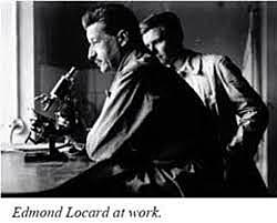 Primer Estudio Cabello