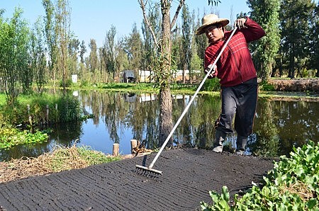 chinampas
