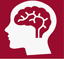 DSM Remodelación DSM IV