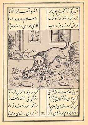 موش و گربه
