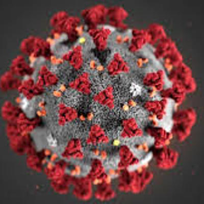 Timeline: Pandemic History/ Sicknesses