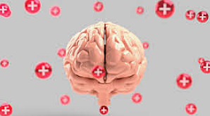 DSM Revisión DSM III