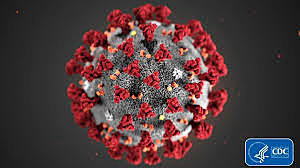 Corona Virus (covid 19)