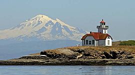 Timeline: SFC Timeline