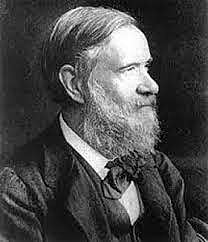 Modificaciones de Cannizzaro