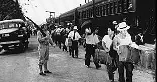 Japanese American Internment