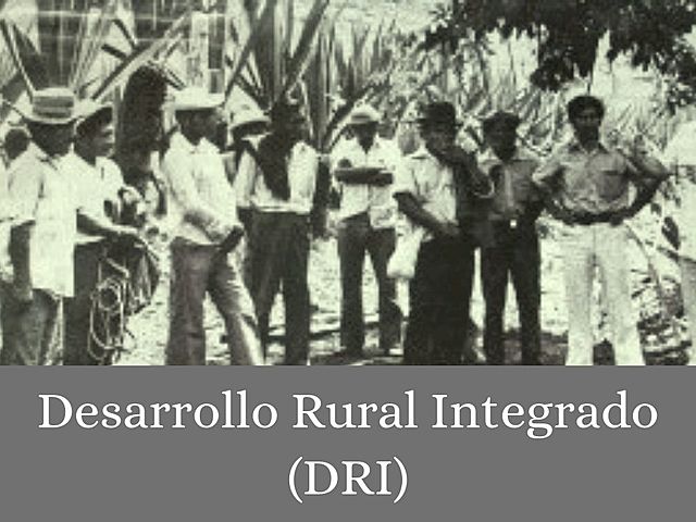 Programa de desarrollo rural integrado (DRI)