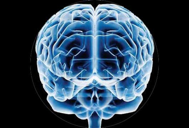 LA CIBERNETICA ACTUALMENTE