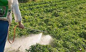 Tiene en Gran Bretaña