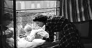 Learning to See and Trust the World