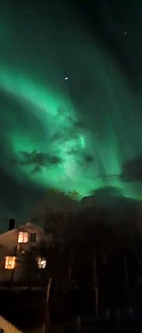 Poteter blir rasjonert