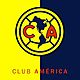 277f805812dccdaab1cbe1beacf047be  swimming towels club américa
