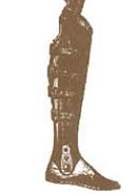 El renacimiento (1400-1800)