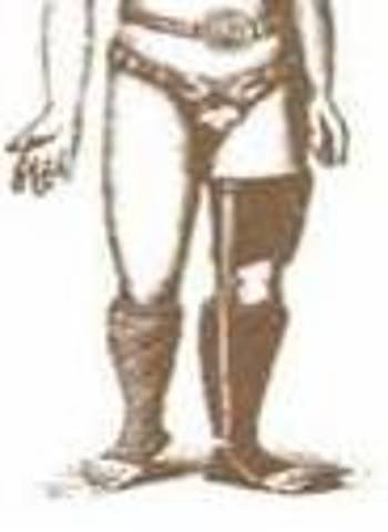 El renacimiento (1400-1800)