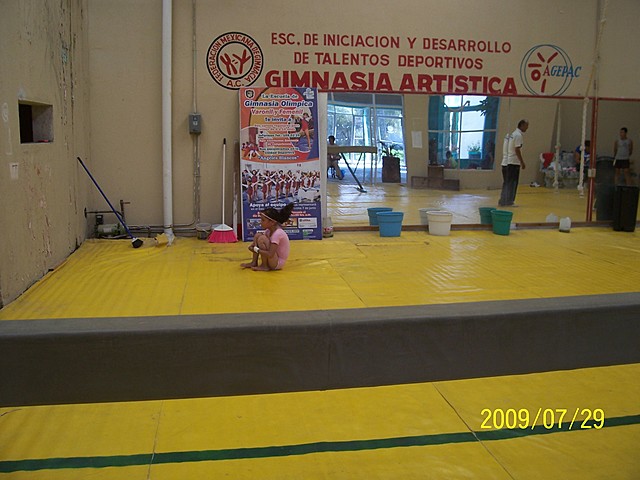 Gimnasia artística