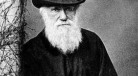 Timeline: Charles Darwin