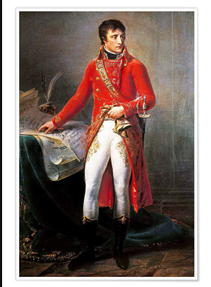 Napoleon is Elected a Consul for Life