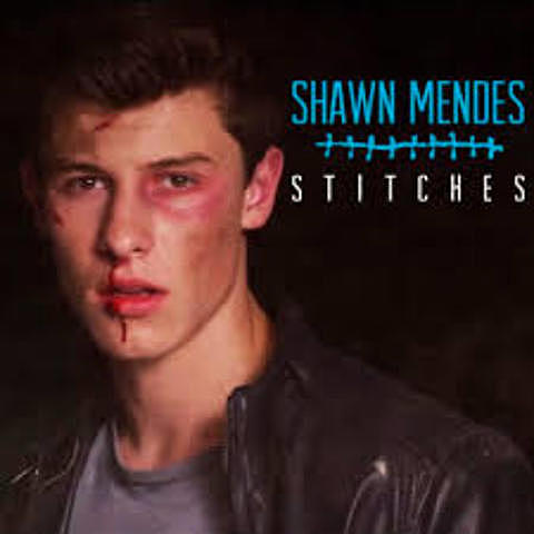 El día en que publico su single mas conocido "Stitches"
