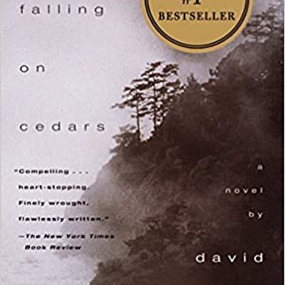 Timeline: Snow falling on cedars