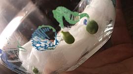 Timeline: BITACORA ECOLOGÍA