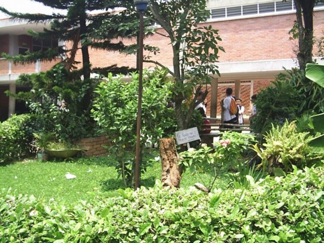 Incia la Institucion